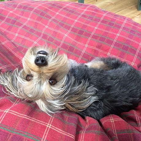 Rapps Avatar